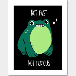 Not Fast Not Furious Frog by Tobe Fonseca Posters and Art